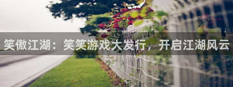 天辰平台需7O777：笑傲江湖：笑笑游戏大发行，开启江湖风云