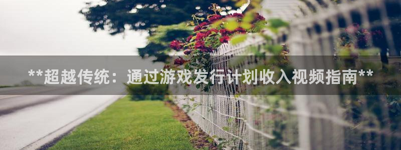 天辰会员注册链接在哪：**超越传统：通过游戏发行计划收入视频指南**