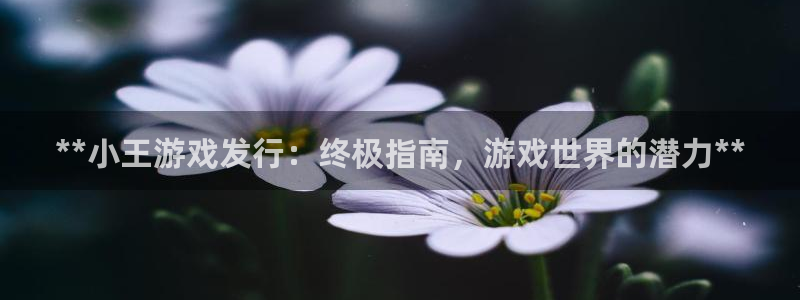 天辰平台注册地址怎么填不了：**小王游戏发行：终极指南，游戏世界的潜力**