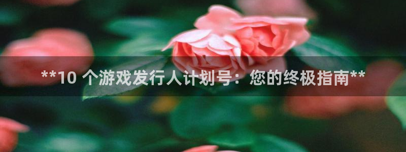 天辰会员开户多少钱：**10 个游戏发行人计划号：您的终极指南**
