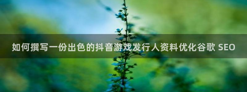 天辰账号：如何撰写一份出色的抖音游戏发行人资料优化谷歌 SEO