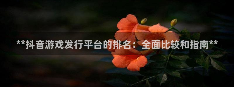 天辰ipci：**抖音游戏发行平台的排名：全面比较和指南**