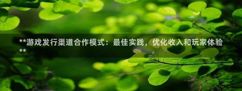天辰平台木 5O6917 天辰：**游戏发行渠道合作模式：最佳实践，优化收入和玩家体验
**