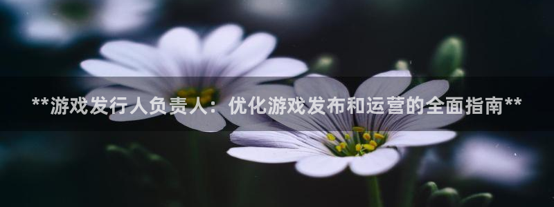 天辰平台木 5O6917 天辰：**游戏发行人负责人：优化游戏发布和运营的全面指南**