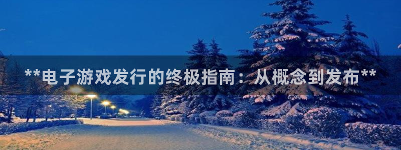 天辰平台登录注册失败：**电子游戏发行的终极指南：从概念到发布**