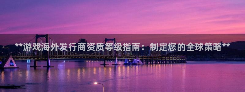 天辰平台用户登录失败怎么办：**游戏海外发行商资质等级指南：制定您的全球策略**