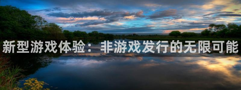 天辰平台专用注册通道安全吗：新型游戏体验：非游戏发行的无限可能