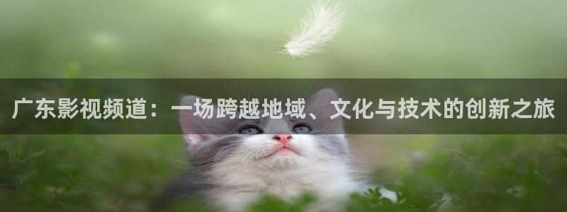 五杀影院官网免费看：广东影视频道：一场跨越地域、文化与技术的创新之旅