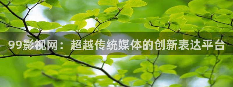 五杀影院电影大全：99影视网：超越传统媒体的创新表达平台
