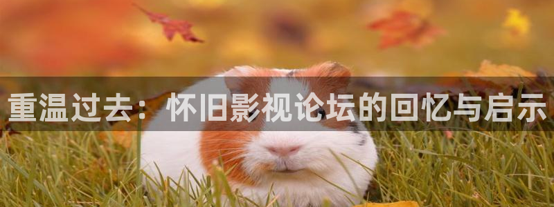 五杀影院官网在线：重温过去：怀旧影视论坛的回忆与启示