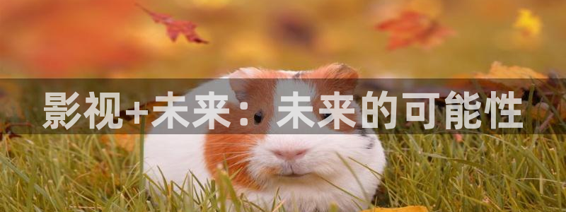 五杀影院免费观看：影视+未来：未来的可能性