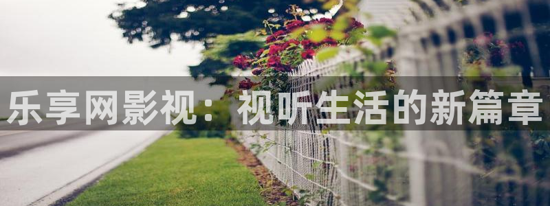 五杀影院在线播放：乐享网影视：视听生活的新篇章